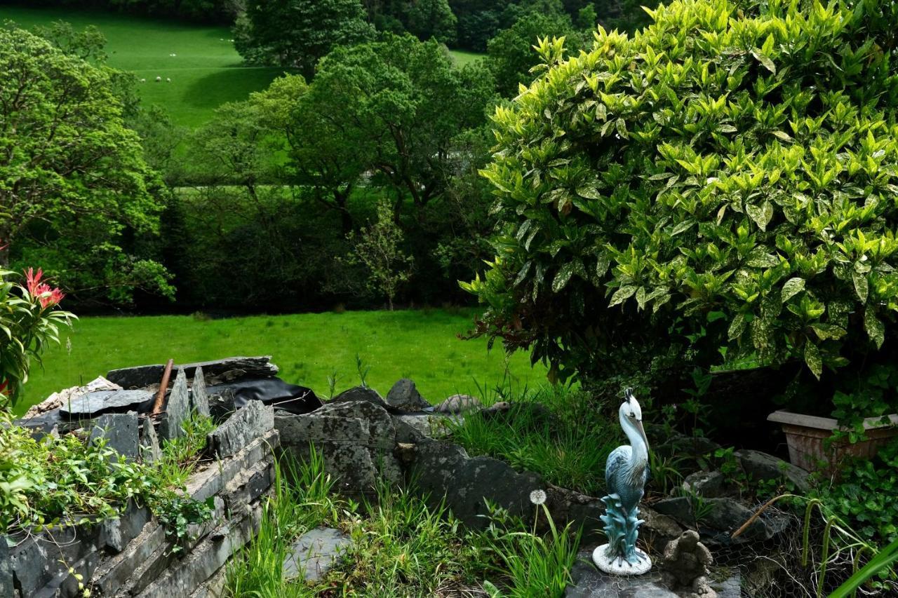 The Buckley Arms Hotel Dinas Mawddwy Exterior photo